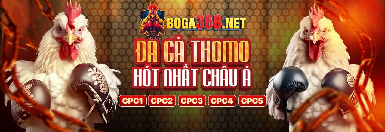 Đá Gà Trực Tiếp – Thưởng Lớn & Uy Tín tại vui123 code